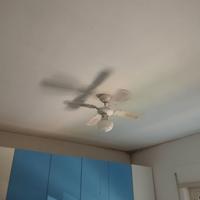 Ventilatore da soffitto