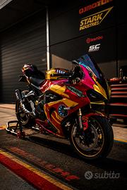 QJ MOTOR SRK 800 rr