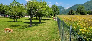 Terreno edificabile a Tarcento (UD)