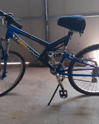 bicicletta ragazzo 