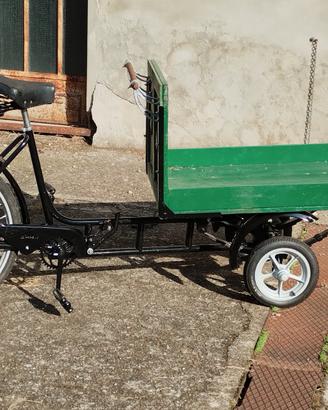 FURGONCINO DONISELLI STANDARD 