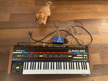 Roland JUNO 60 con Kenton pro DCB Midi mk3