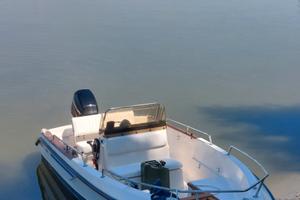 Barca ELAN 495 - Mercury 40/60cv