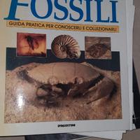 Collezione De Agostini