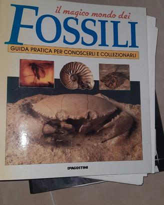 Collezione De Agostini