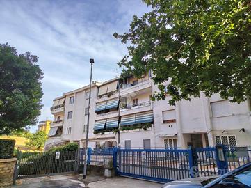 4 LOCALI A ALBANO LAZIALE