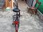 Immagine 4