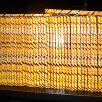 MANGA LAMU'   serie completa