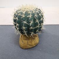 Cactus piccolo 8cm sintetico decorazione terrario