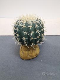 Cactus piccolo 8cm sintetico decorazione terrario