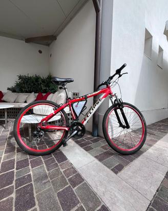 ECLIPSE MTB - BORNET High Performance
