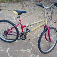 Bicicletta Baronchelli da donna