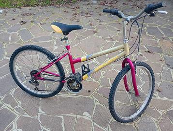 Bicicletta Baronchelli da donna