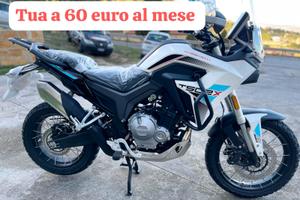 Morbidelli T502 X - T352X 2026 INTERA GAMMA