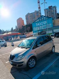 Lancia musa Platinum