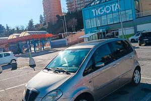 Lancia musa Platinum