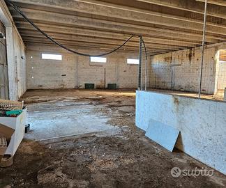 CAPANNONE TERRENO e Villa con piscina