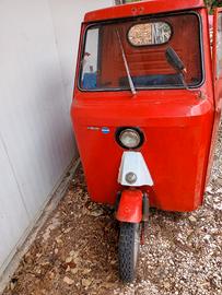 casalini 50cc