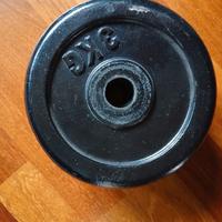 dischi ghisa 3 kg l'uno manubri- bilanciere GYM
