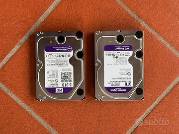 Dischi WD 3TB Purple
