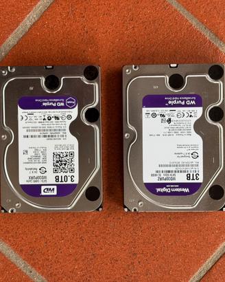 Dischi WD 3TB Purple