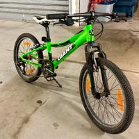 Bici Bambino Giant tg 20