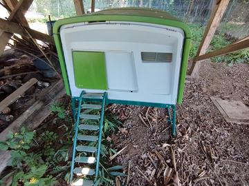 pollaio omlet eglu cube 