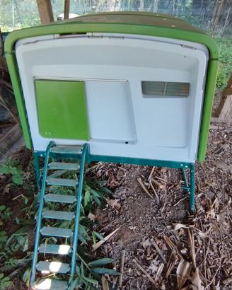 pollaio omlet eglu cube 