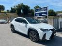 lexus-ux-ux-hybrid-f-sport