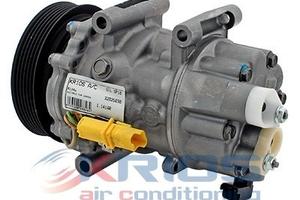 Compressore aria condizionata Peugeot 307 2.0 HDI