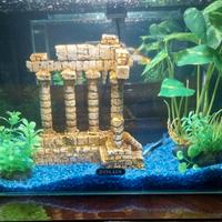 Acquario avviato con 3 pesci tipo guppy 18 litri