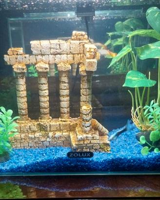 Acquario avviato con 3 pesci tipo guppy 18 litri