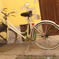 Bicicletta da donna vintage 