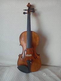 Violino