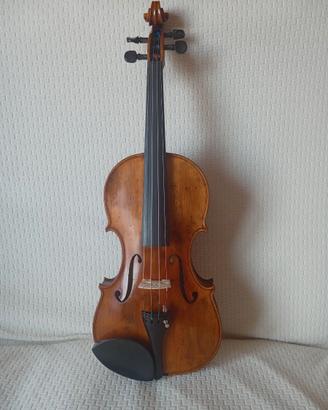 Violino