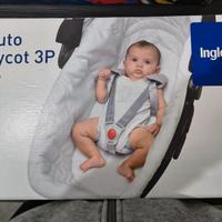 Kit auto Inglesina Carrycot 3P