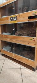Terrario in legno multistrato fenolico marino