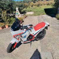 Cagiva aletta oro S2 125 CONSERVATA