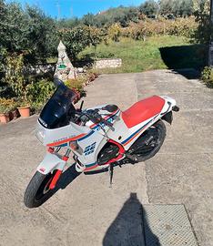 Cagiva aletta oro S2 125 CONSERVATA