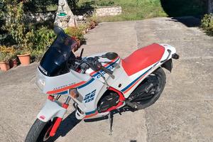 Cagiva aletta oro S2 125 CONSERVATA