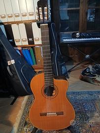 Chitarra Takamine