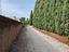 Immagine 22