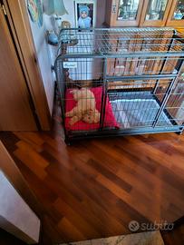 Recinto per cani casalingo
