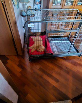 Recinto per cani casalingo