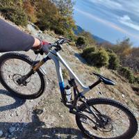 telaio s4 stumpjumper evo