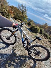 telaio s4 stumpjumper evo