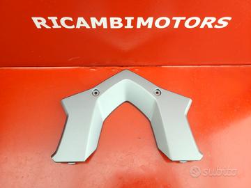 COVER PORTAPACCHI BMW R1200RS LC R1250RS