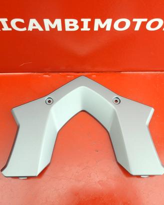 COVER PORTAPACCHI BMW R1200RS LC R1250RS