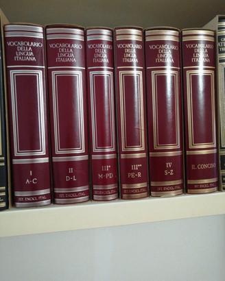 Ediz. completa Vocabolario Treccani + Il Conciso