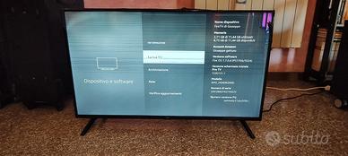 Fire Tv Amazon 43" display rotto